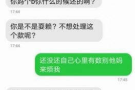 沙雅沙雅的要账公司在催收过程中的策略和技巧有哪些？